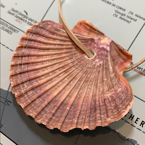 Lucky Sea Shell Necklace - Picture 3 of 3